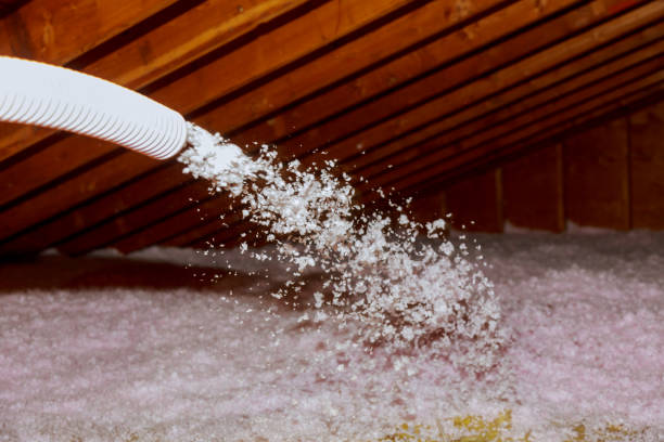 Best Residential Insulation in Sumner, IL