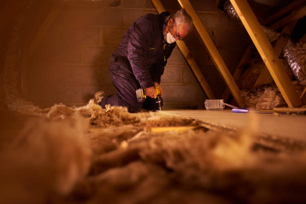 Best Blown-in Insulation in Sumner, IL